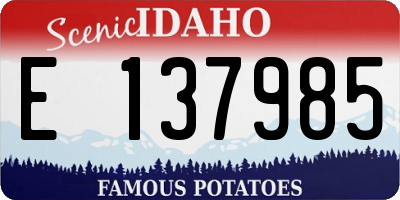 ID license plate E137985