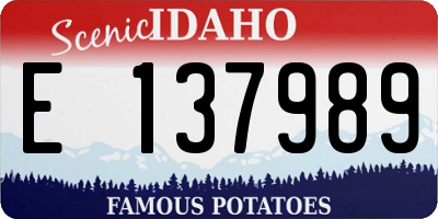 ID license plate E137989