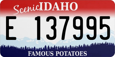 ID license plate E137995