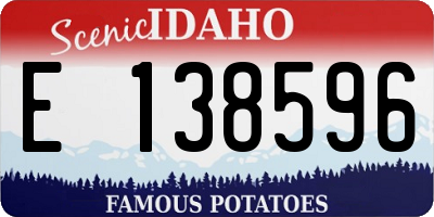 ID license plate E138596