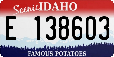 ID license plate E138603