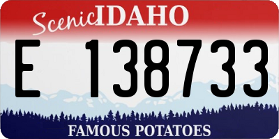 ID license plate E138733