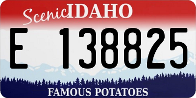 ID license plate E138825