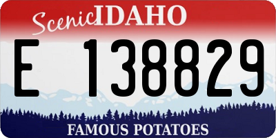 ID license plate E138829