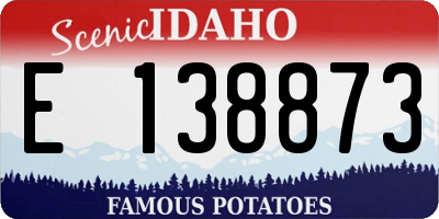 ID license plate E138873