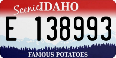 ID license plate E138993