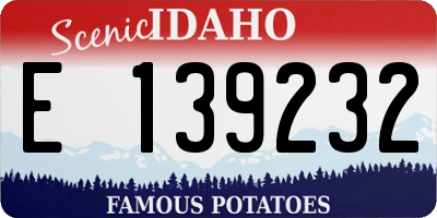ID license plate E139232