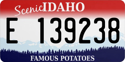 ID license plate E139238