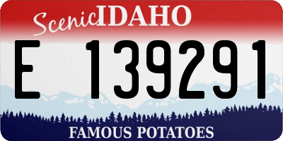 ID license plate E139291