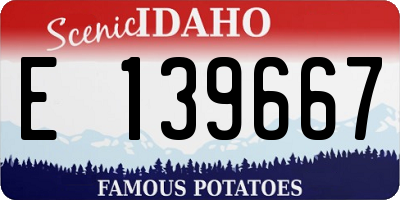 ID license plate E139667