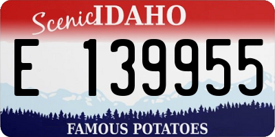 ID license plate E139955