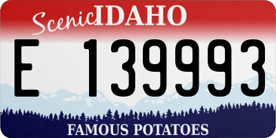 ID license plate E139993