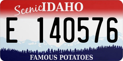 ID license plate E140576