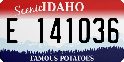 ID license plate E141036