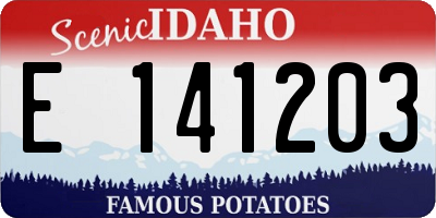 ID license plate E141203