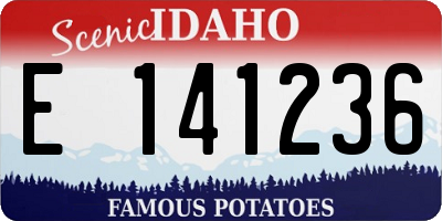 ID license plate E141236