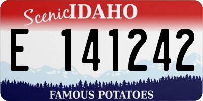 ID license plate E141242