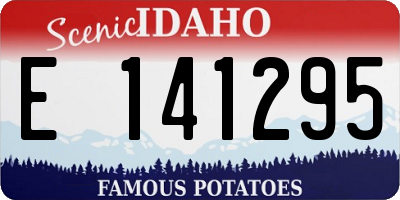 ID license plate E141295