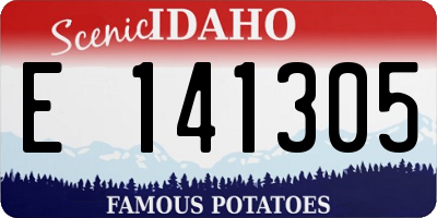 ID license plate E141305