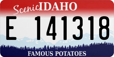 ID license plate E141318
