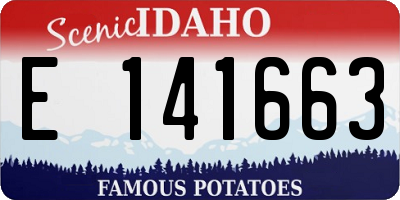 ID license plate E141663