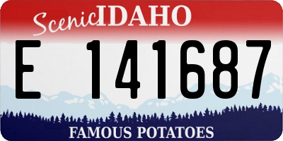 ID license plate E141687