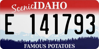 ID license plate E141793