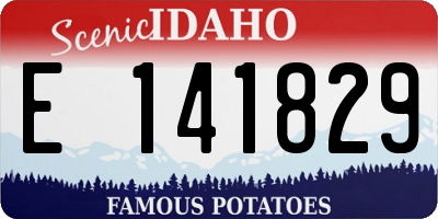 ID license plate E141829