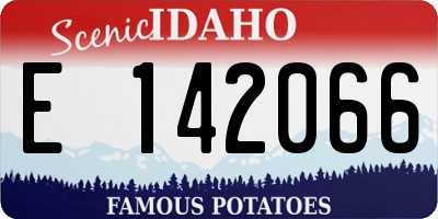 ID license plate E142066