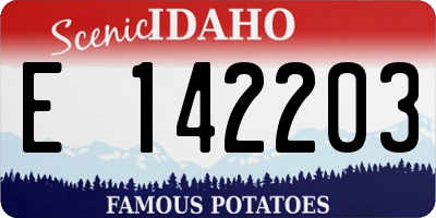 ID license plate E142203