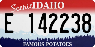 ID license plate E142238