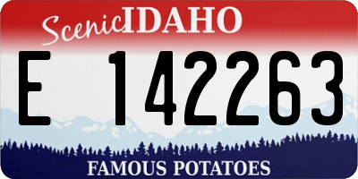 ID license plate E142263