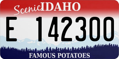 ID license plate E142300
