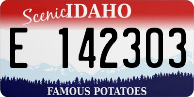ID license plate E142303