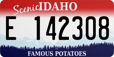ID license plate E142308