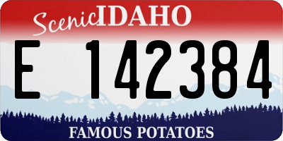 ID license plate E142384