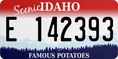 ID license plate E142393