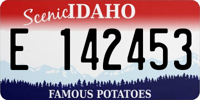 ID license plate E142453