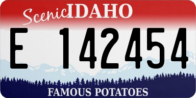 ID license plate E142454