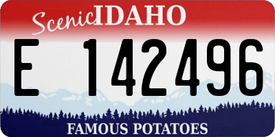 ID license plate E142496