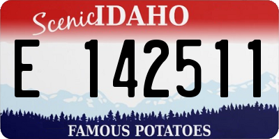 ID license plate E142511