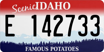 ID license plate E142733