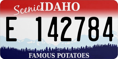 ID license plate E142784