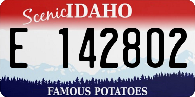 ID license plate E142802
