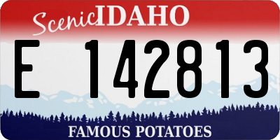 ID license plate E142813