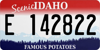 ID license plate E142822