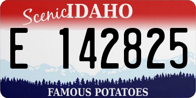 ID license plate E142825