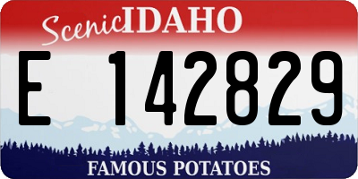 ID license plate E142829