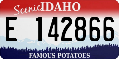 ID license plate E142866