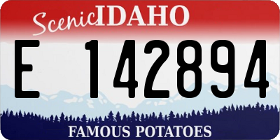 ID license plate E142894
